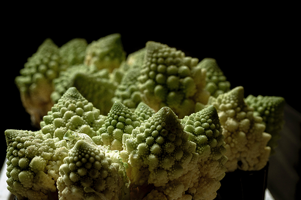 planta com estrutura com muitas bolinhas representando o HPV