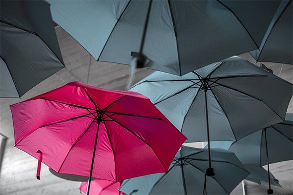 vários chapeus de chuva cinzentos e um chapeu de chuva roxo